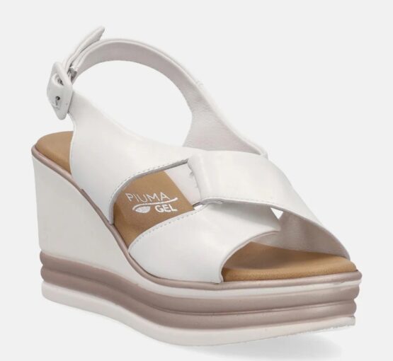 2418 Susimoda - immagine 2